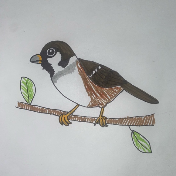 Meet your Posher, Josefa - Picture 1 of 1